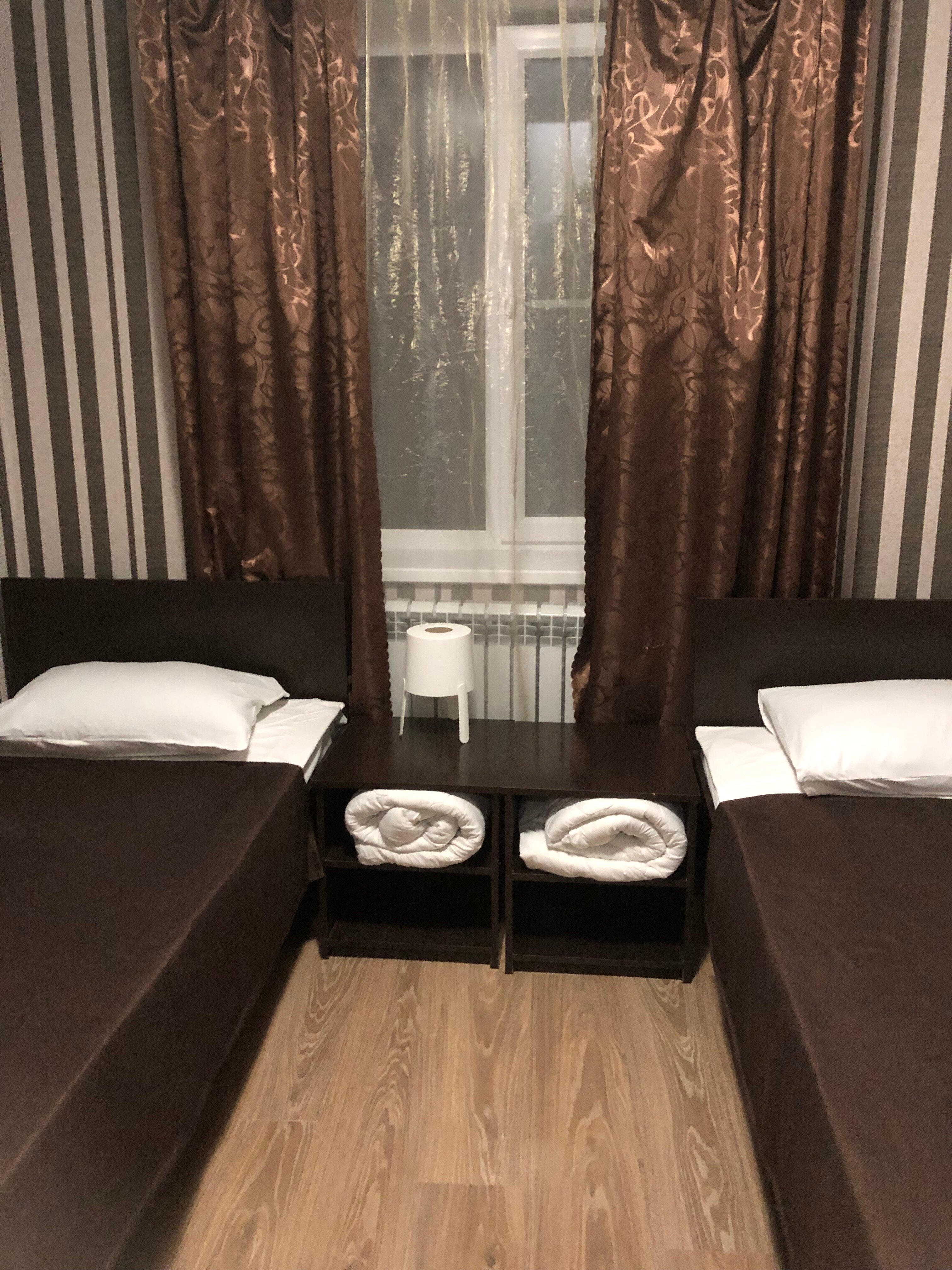 Фото Базилик