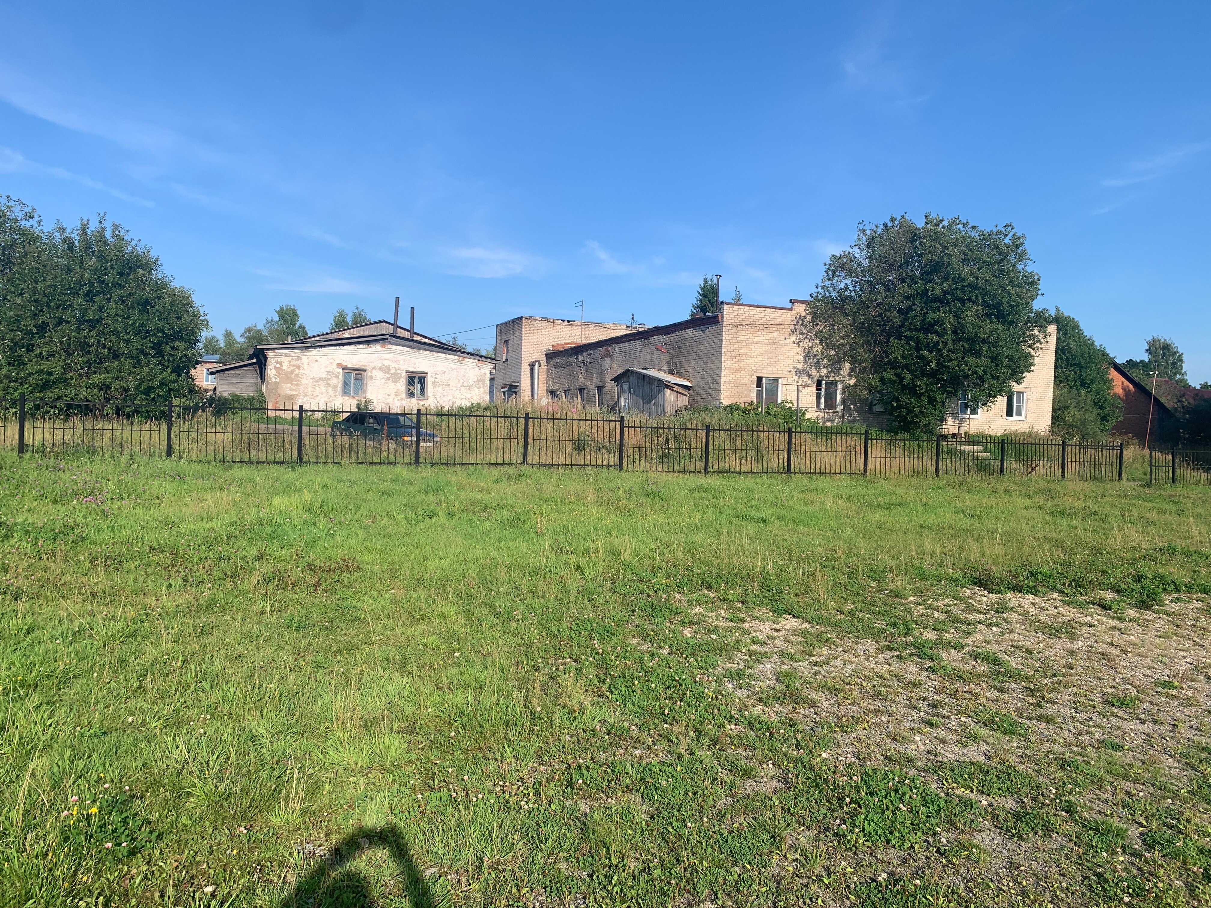 Фото Феникс