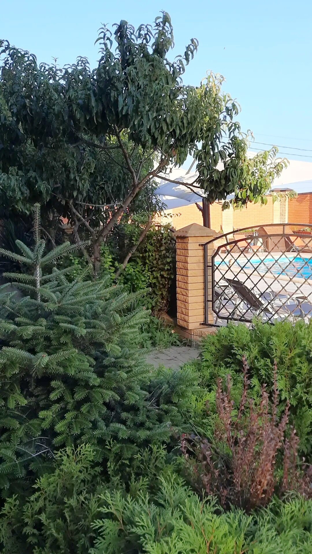 Фото Sokroma ЭтоЮг