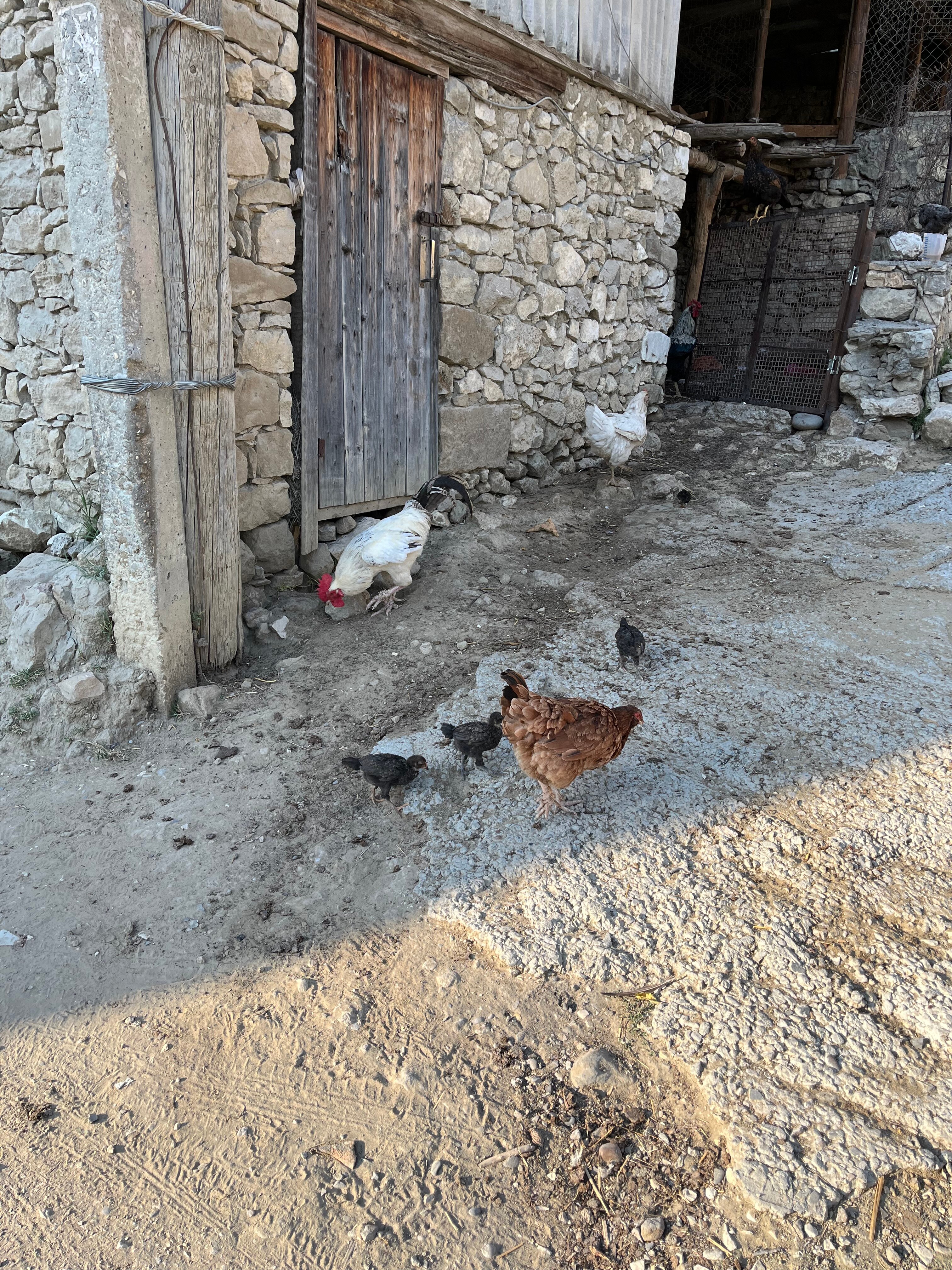 Фото У Зайнаб