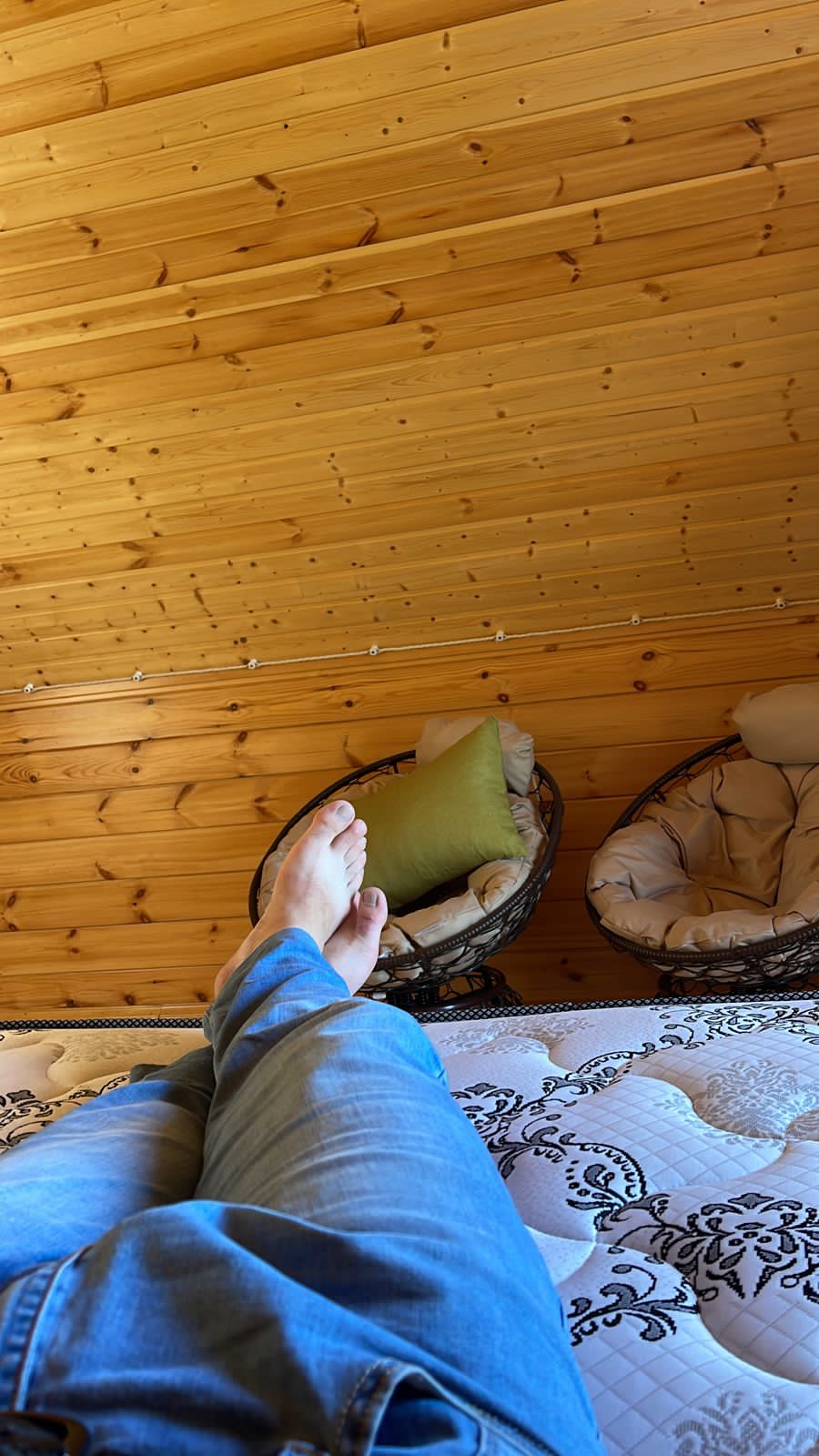 Фото Санитас