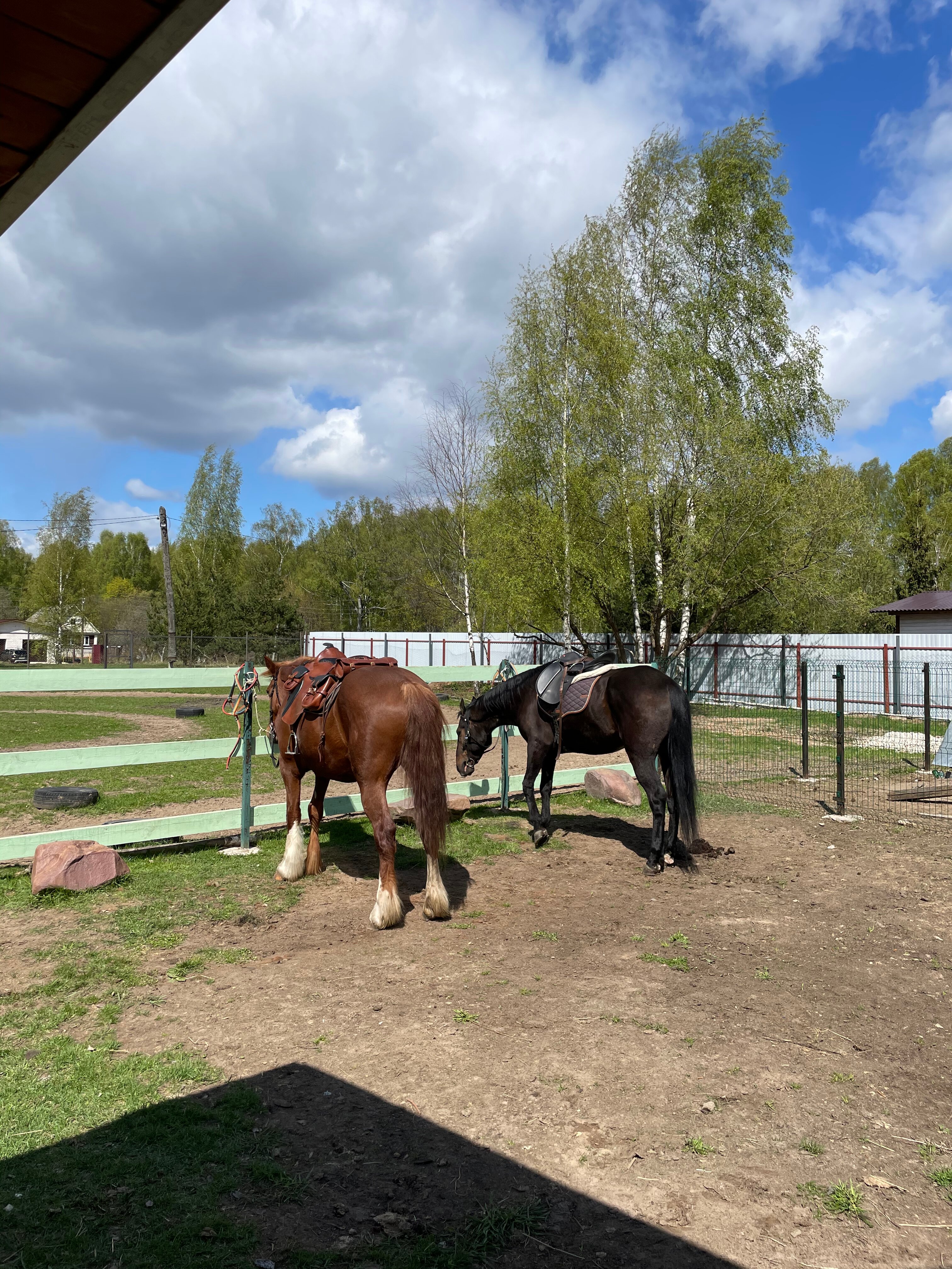 Фото Овчинино Лайф