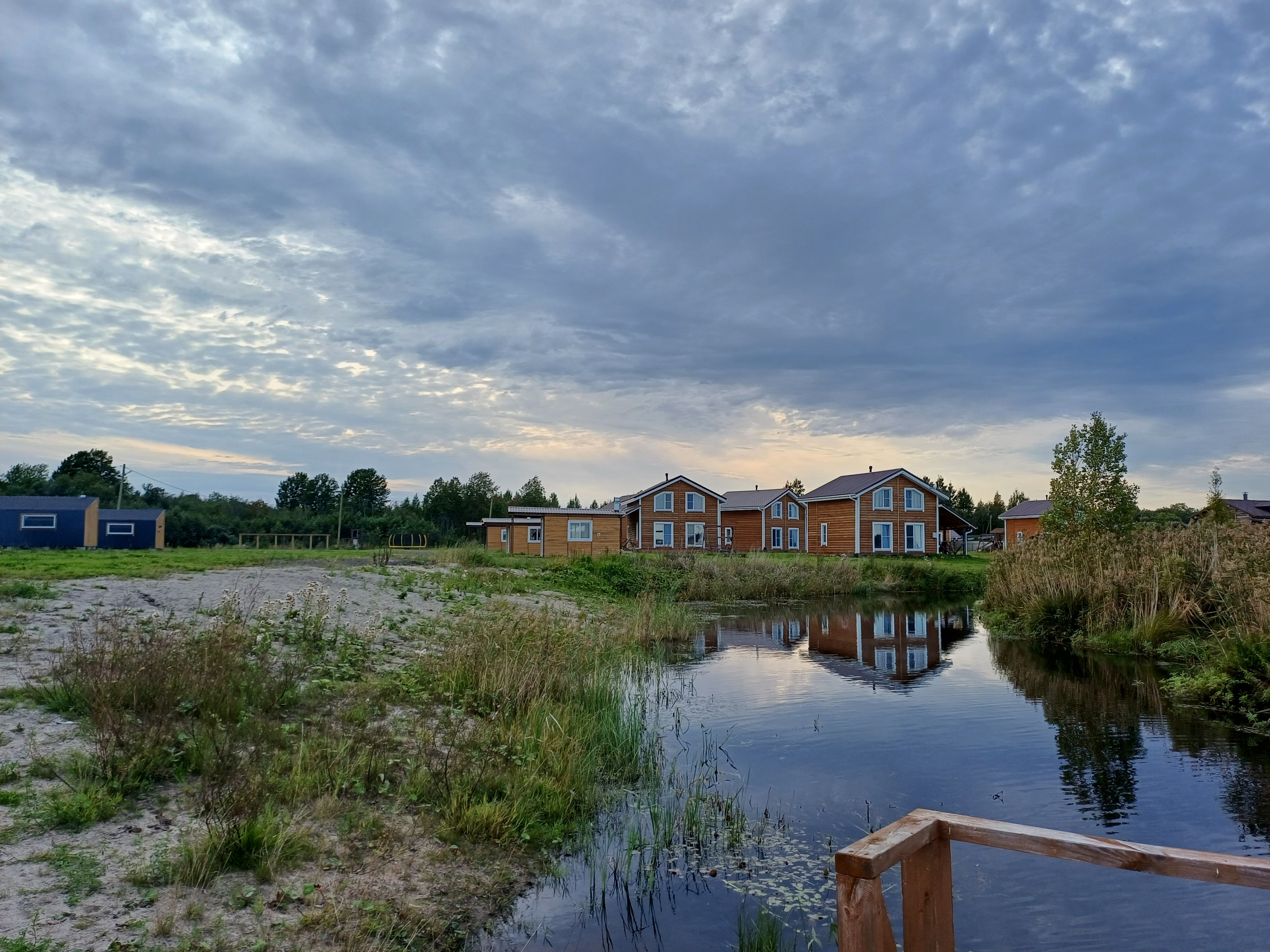 Фото Хитрый Лис