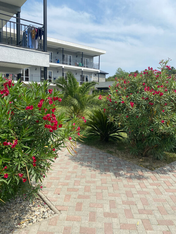 Фото Mandarin Hotel