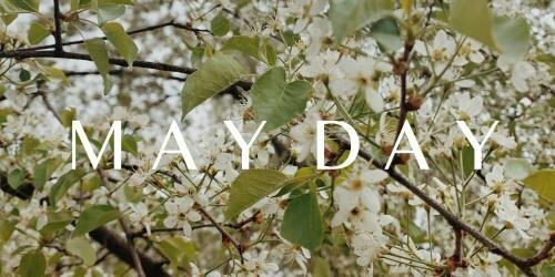 Фото Square Nine