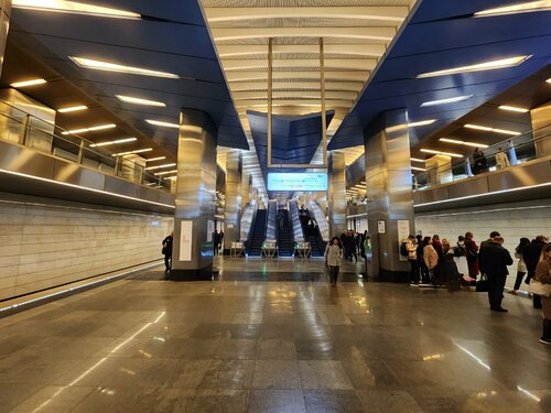 Delovoy Tsentr (Moscow, Presnenskaya Embankment, 2), metro station