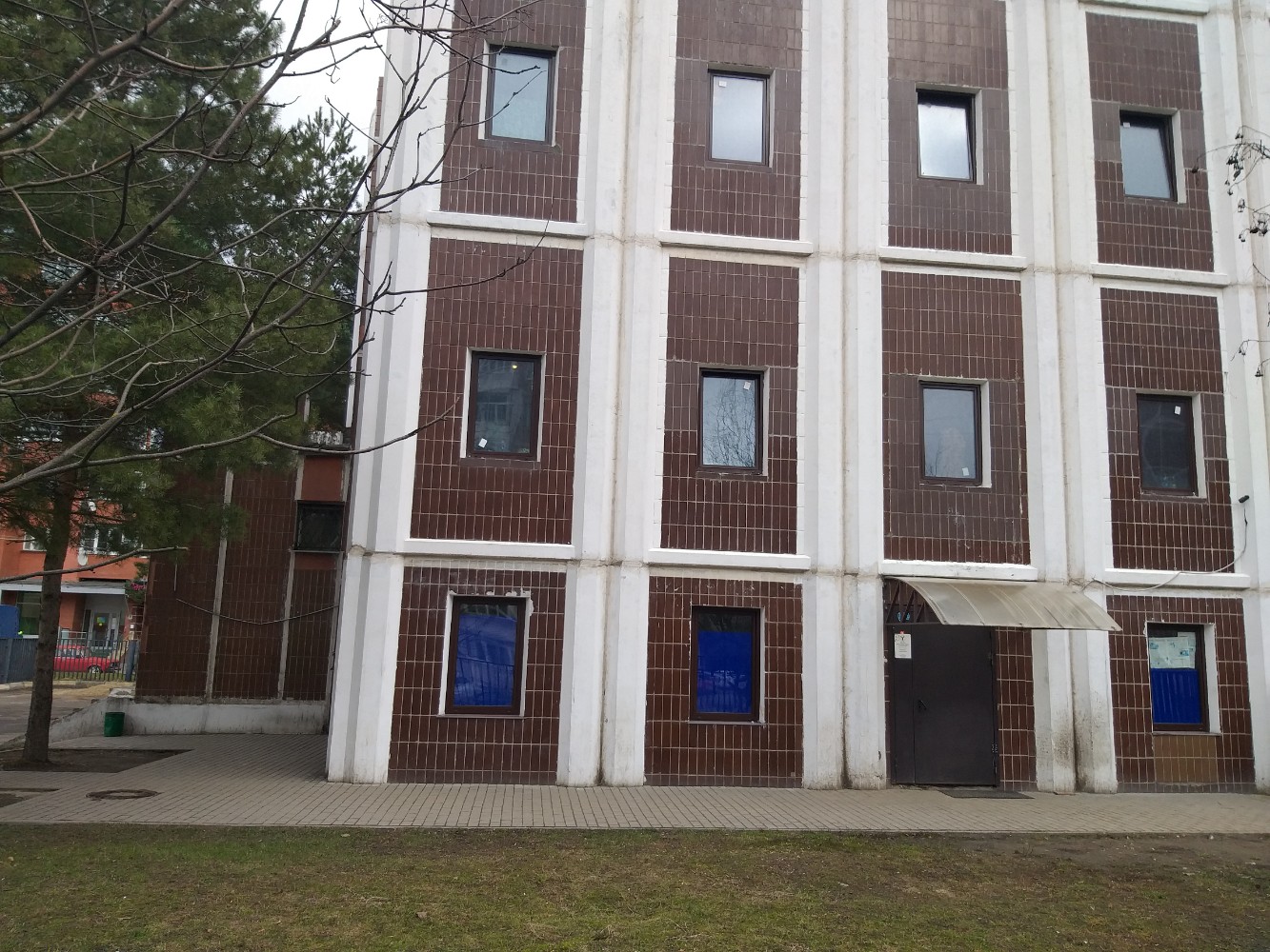 Фото Вежливый Лось