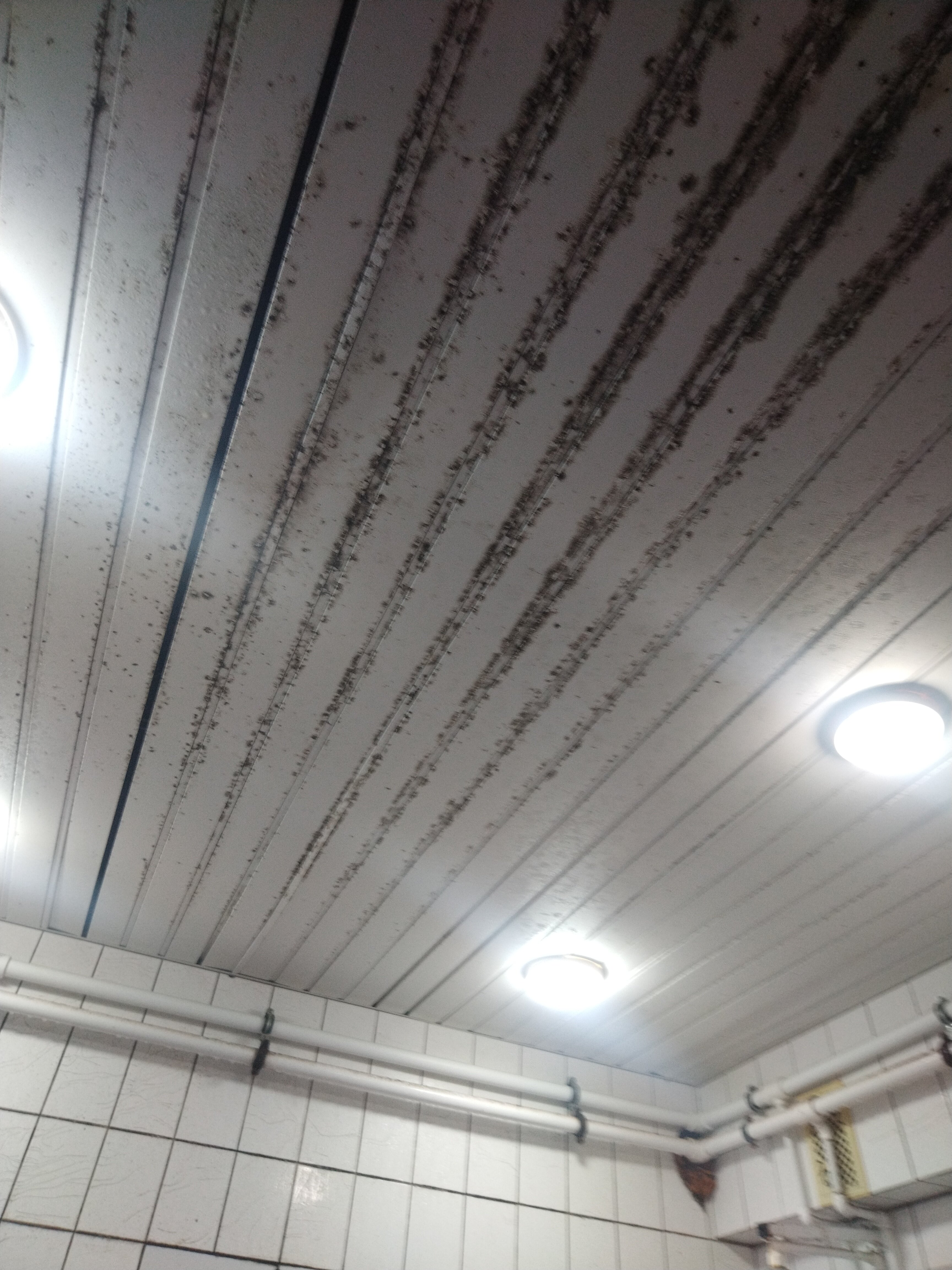 Фото Абсолют на Сельскохозяйственной