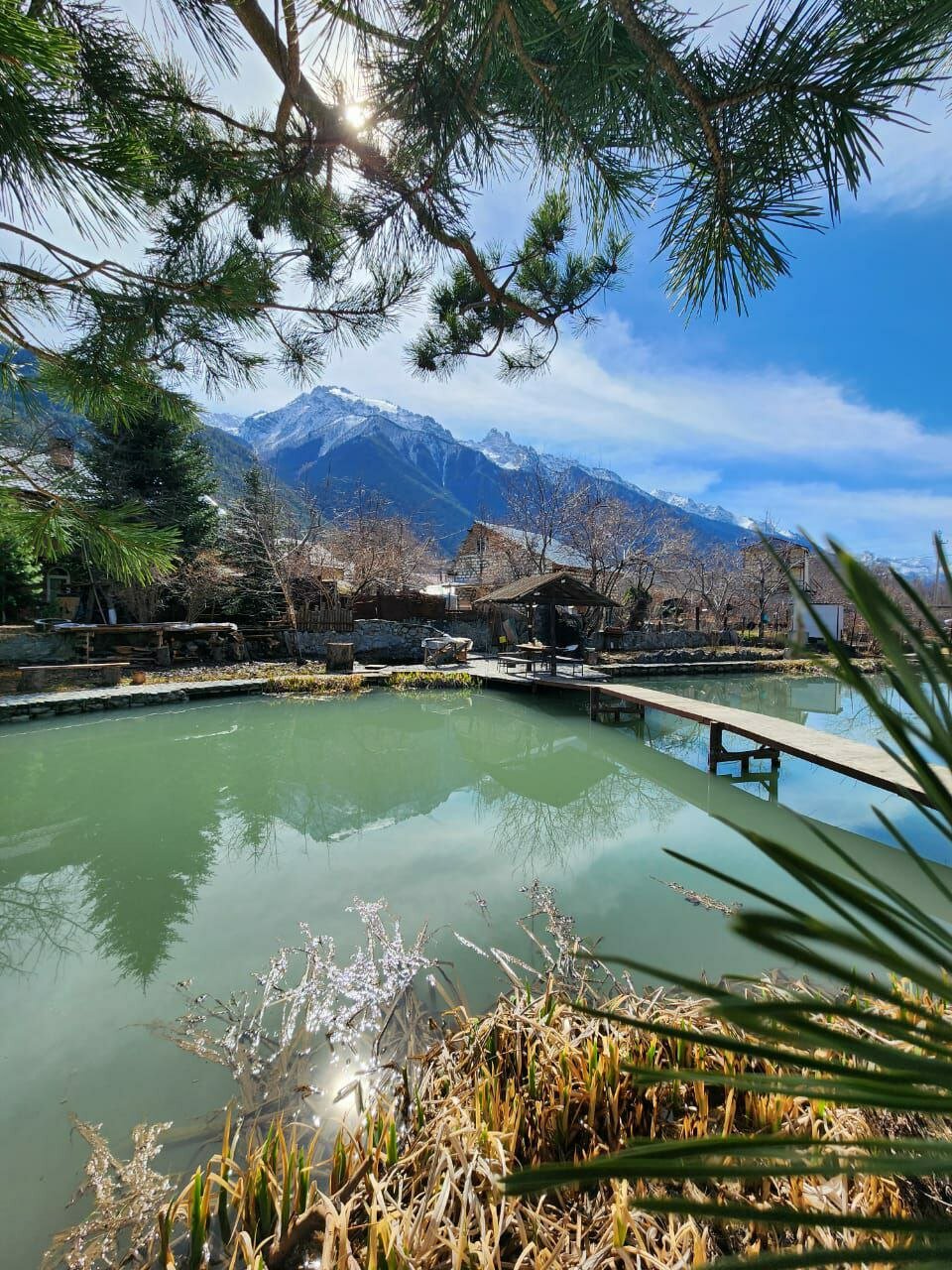 Фото Кипрей