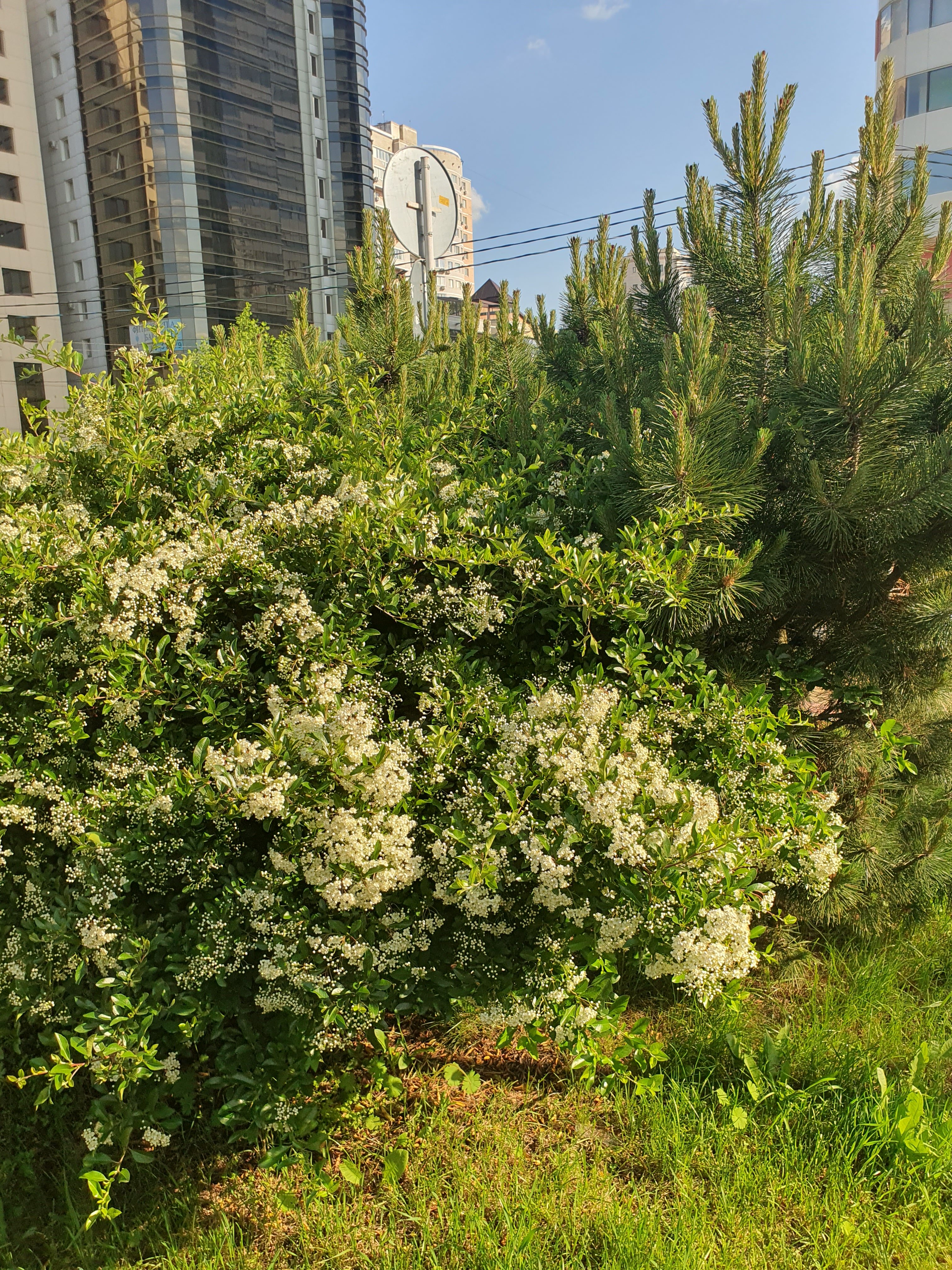 Фото Екатерининский