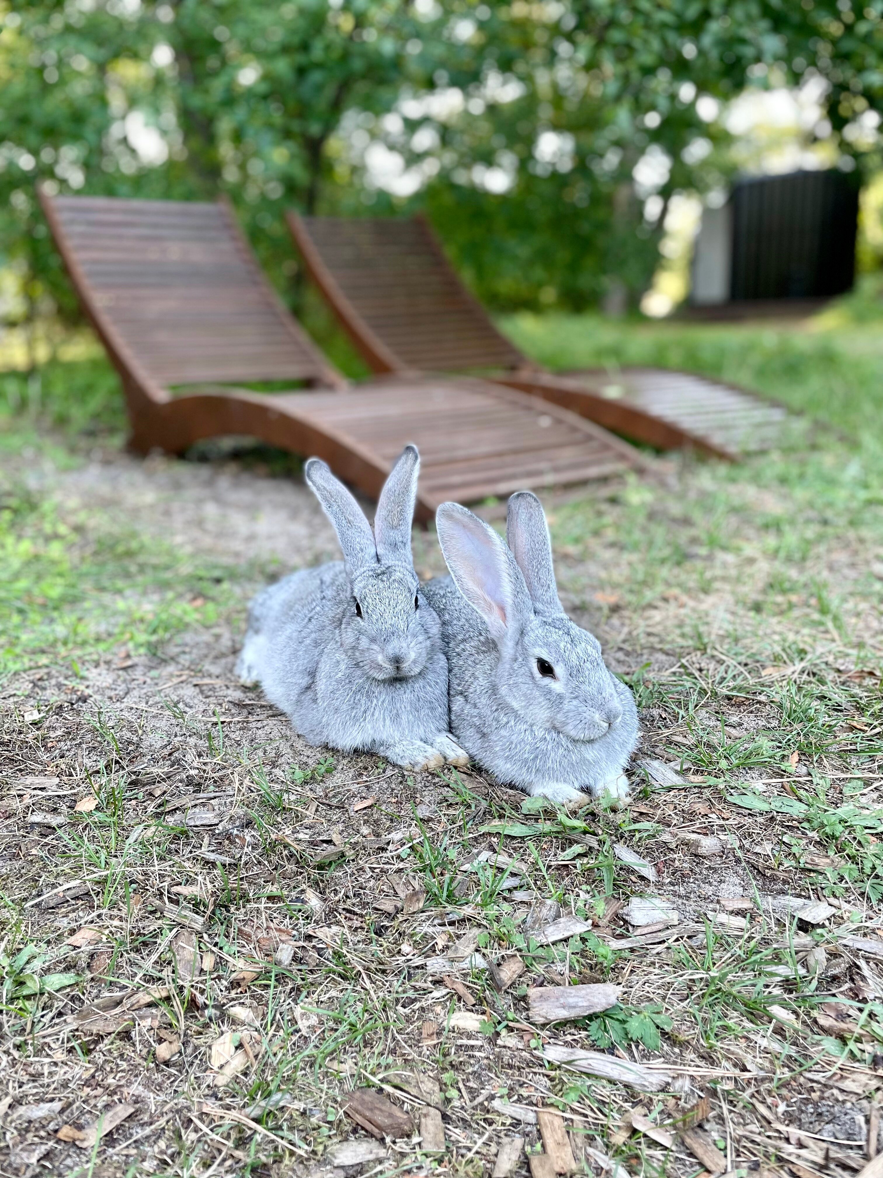 Фото Polyana Glamping