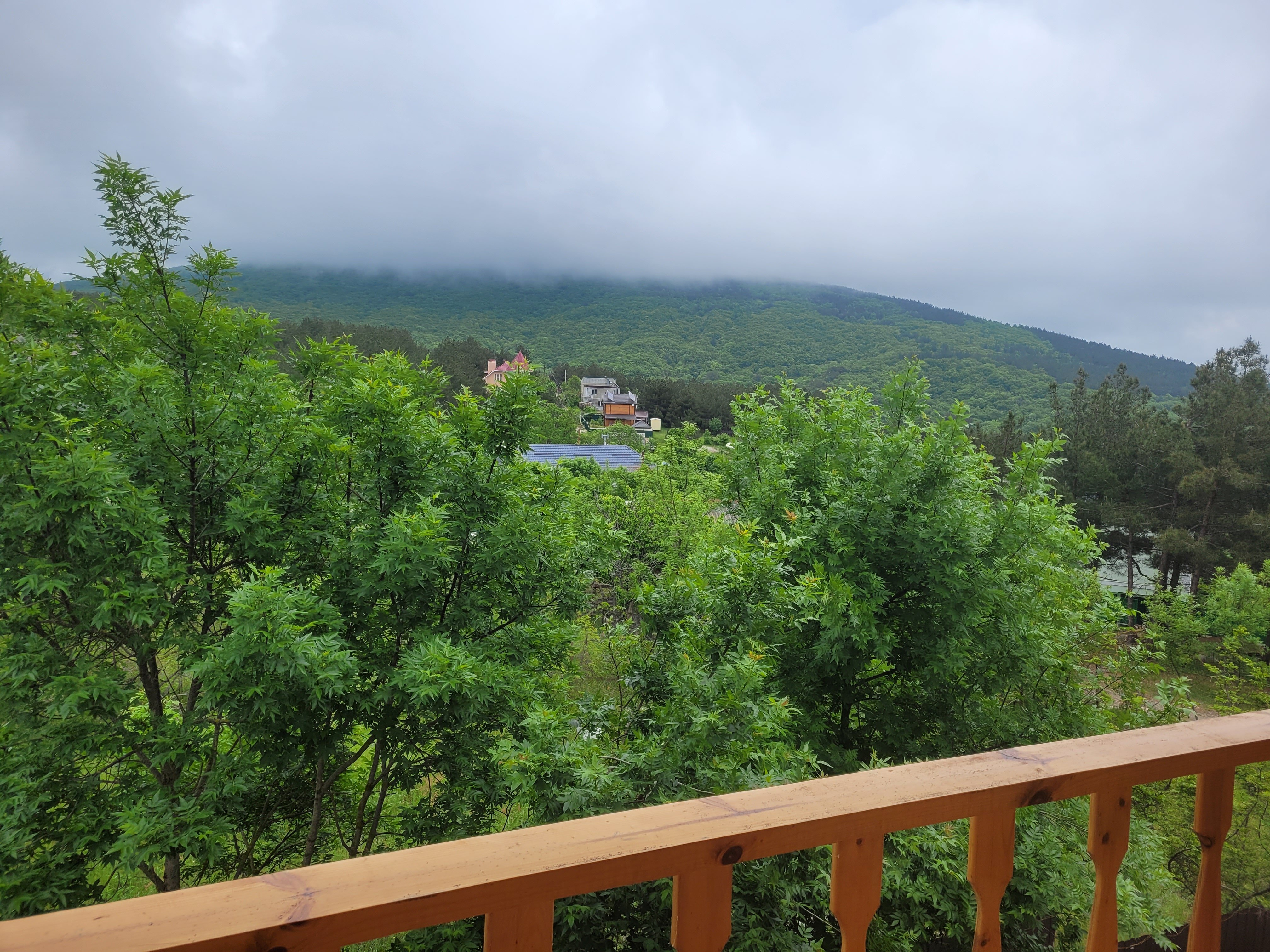 Фото Лесное местечко