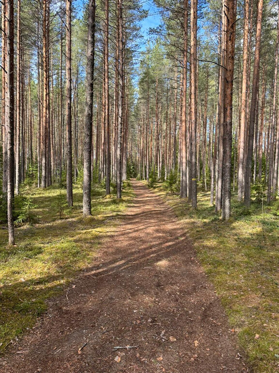 Фото Валдайская усадьба