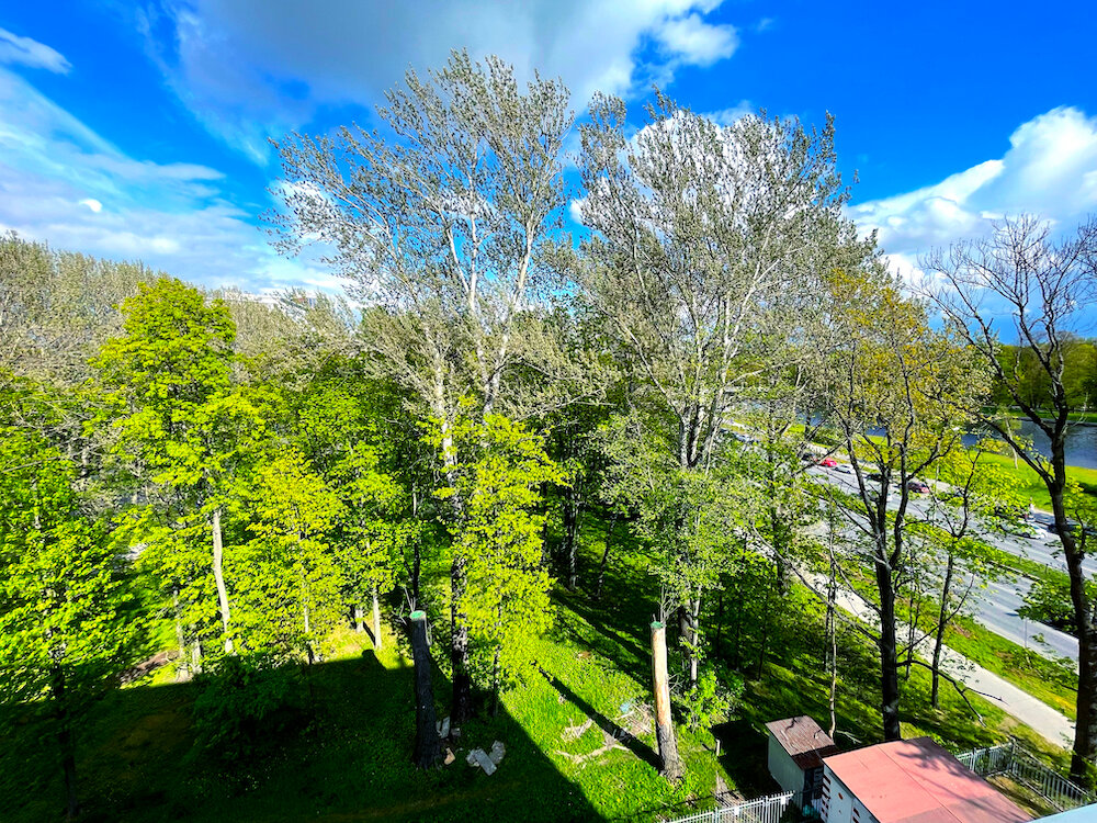 Фото Елагин