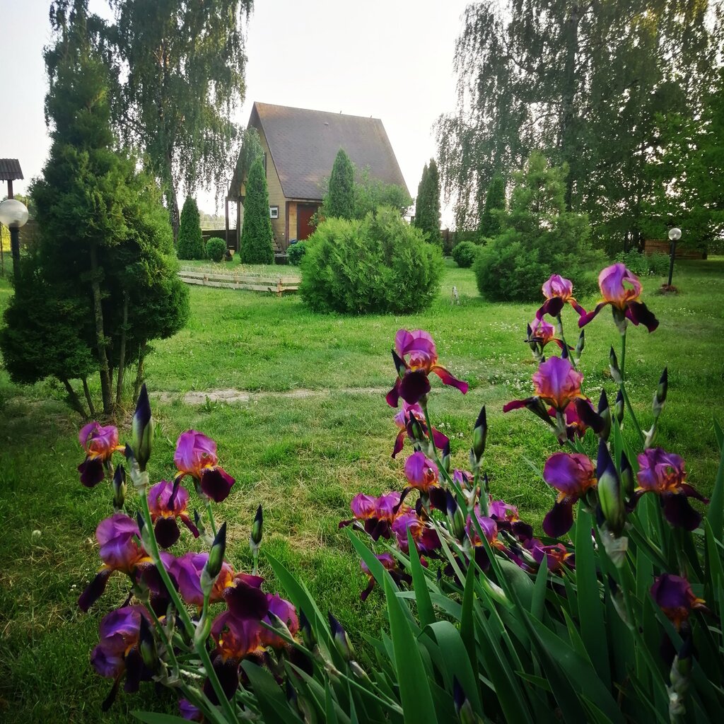 Агроусадьба Агроусадьба Купалинка, Брестская область, фото