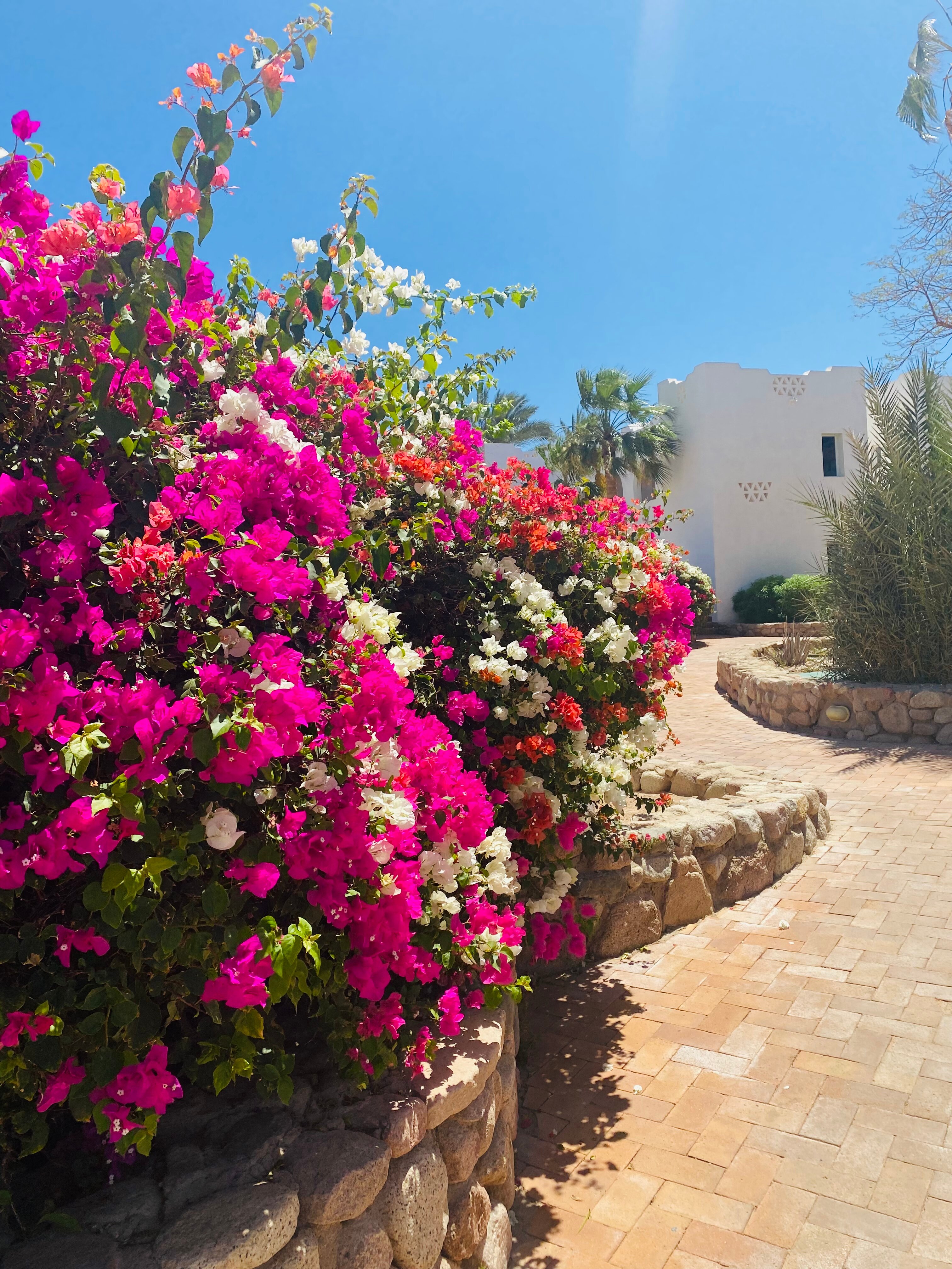 Фото Domina Coral Bay Aquamarine