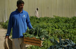 Integrated Green Resources (Al Lootha Building, Port Saeed, Deira, Dubai), management company