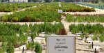 المركز الدولي للزراعة الملحية (13, Dubai - Al Ain Road, Dubai) ، وزارات حكومية، خدمات