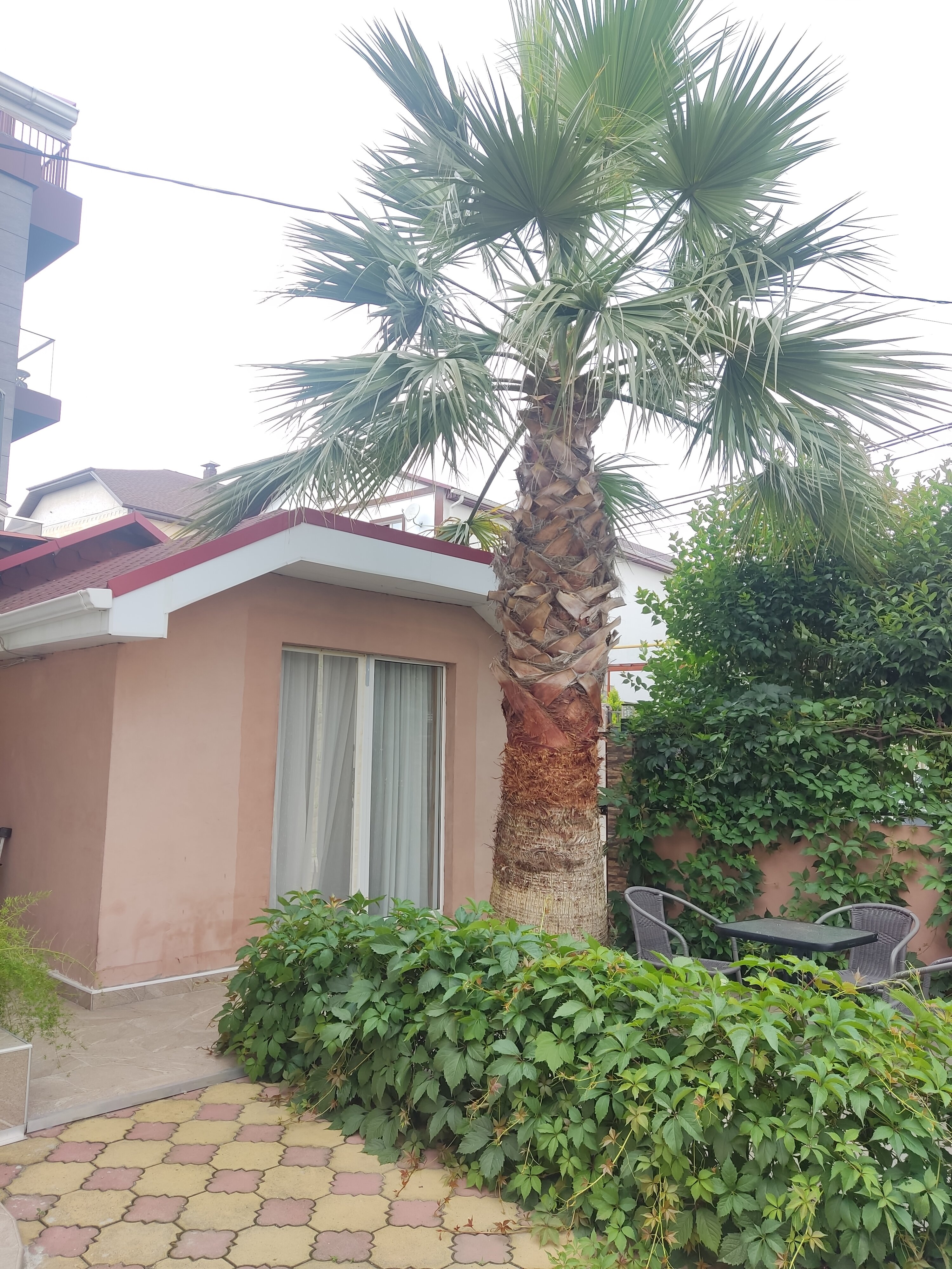 Фото Каникулы души