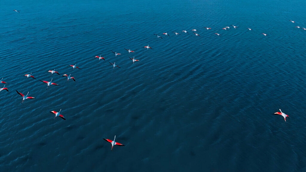 Travel agency Wings Corporate Travel, Dubai, photo