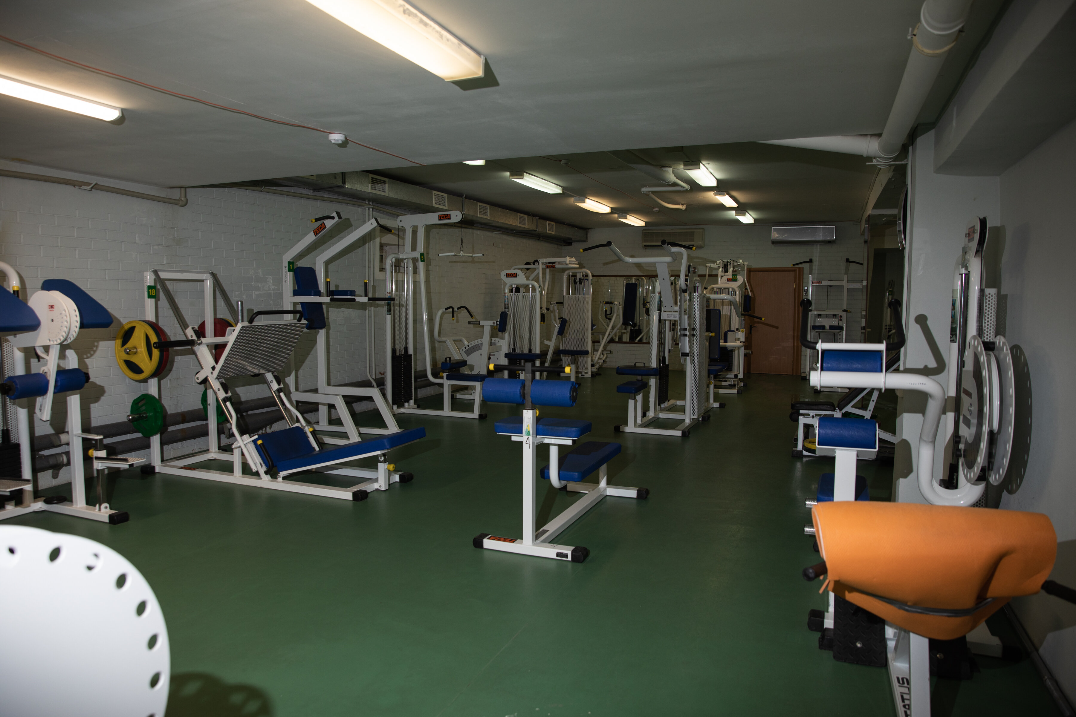 Фото Русский бор