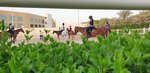 Sustainable City Equetrian Club (C20, Al Qudra Street, Dubai), sports school