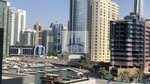 City Star Real Estate (Tameem House, Al Thanyah First, Hadaeq Mohammed Bin Rashid, Dubai), real estate agency