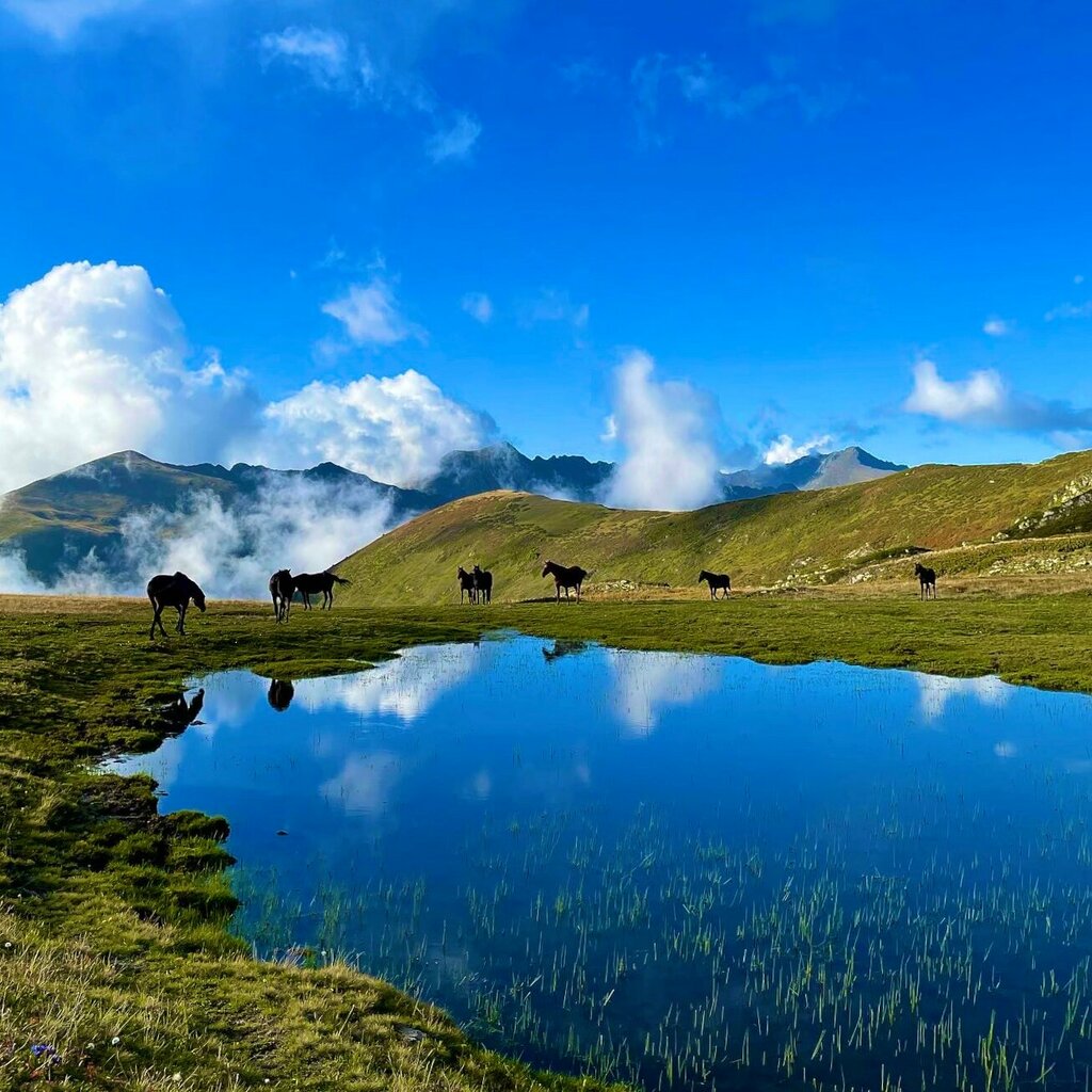 Природа Урочище Бзерпинский карниз 2063 метра, Сочи, фото