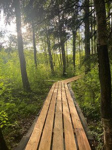 Forest trail (Leningrad Region, Vsevolozhckiy DIstrict, Koltushskoye gorodskoye poseleniye, posyolok Voyeykovo) ، معلم جذب سياحي