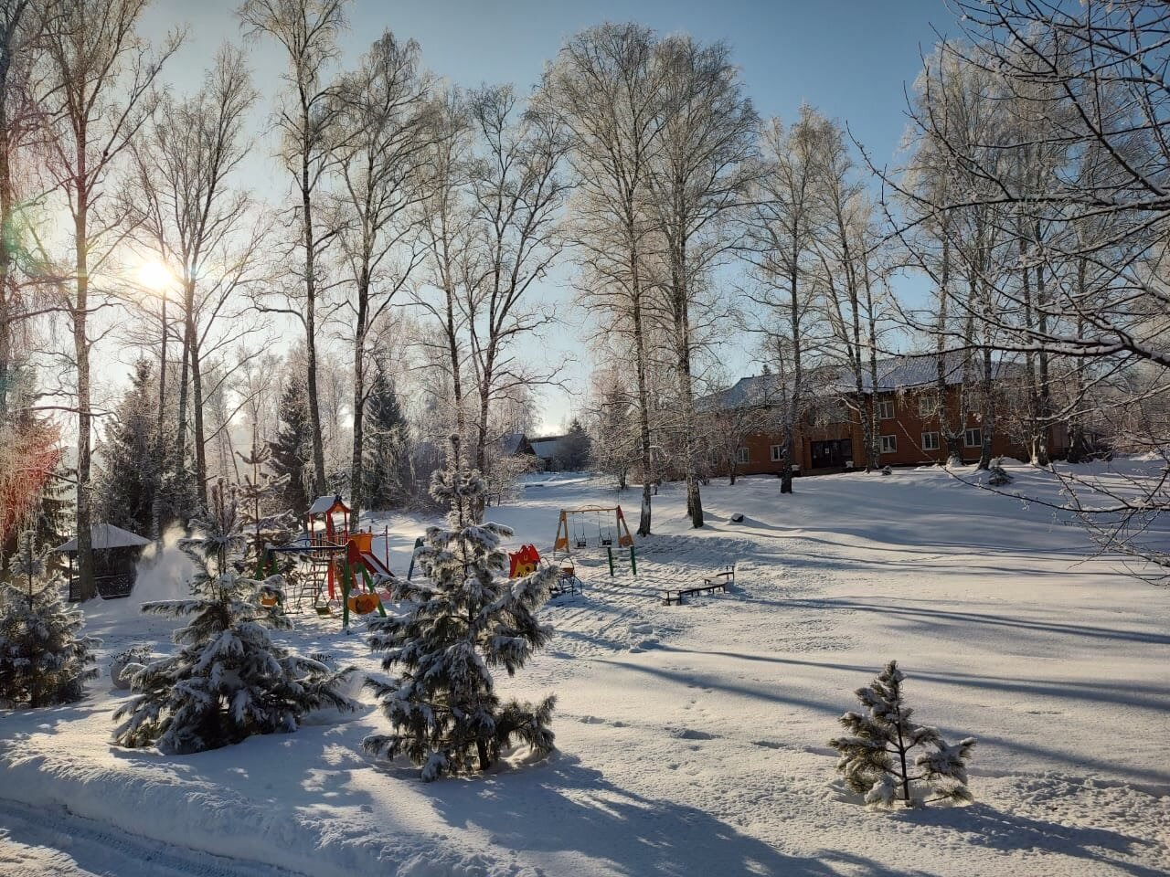 Фото Берёзка