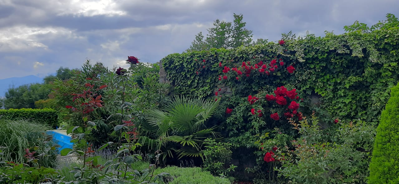 Фото Вилла и Море