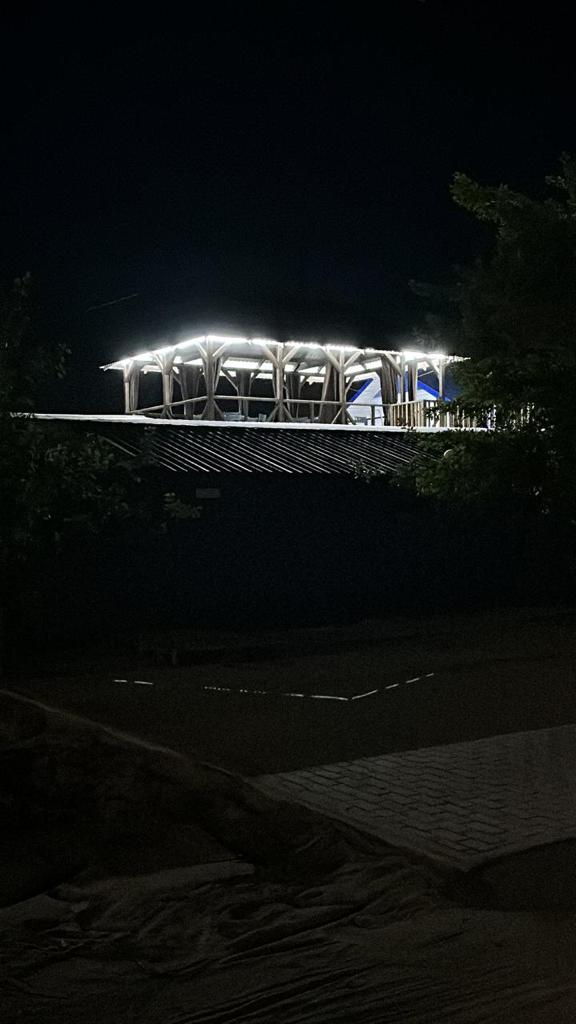 Фото Лазурное Яровое