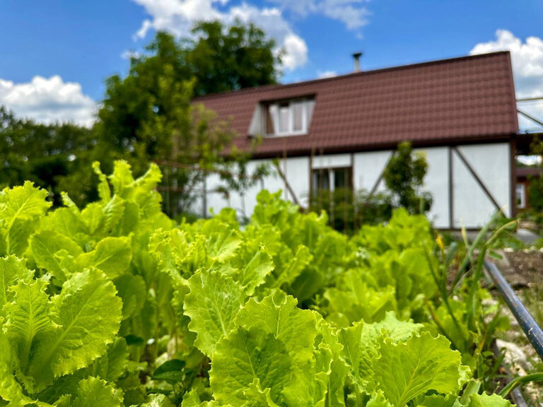 Фото Наш Дом