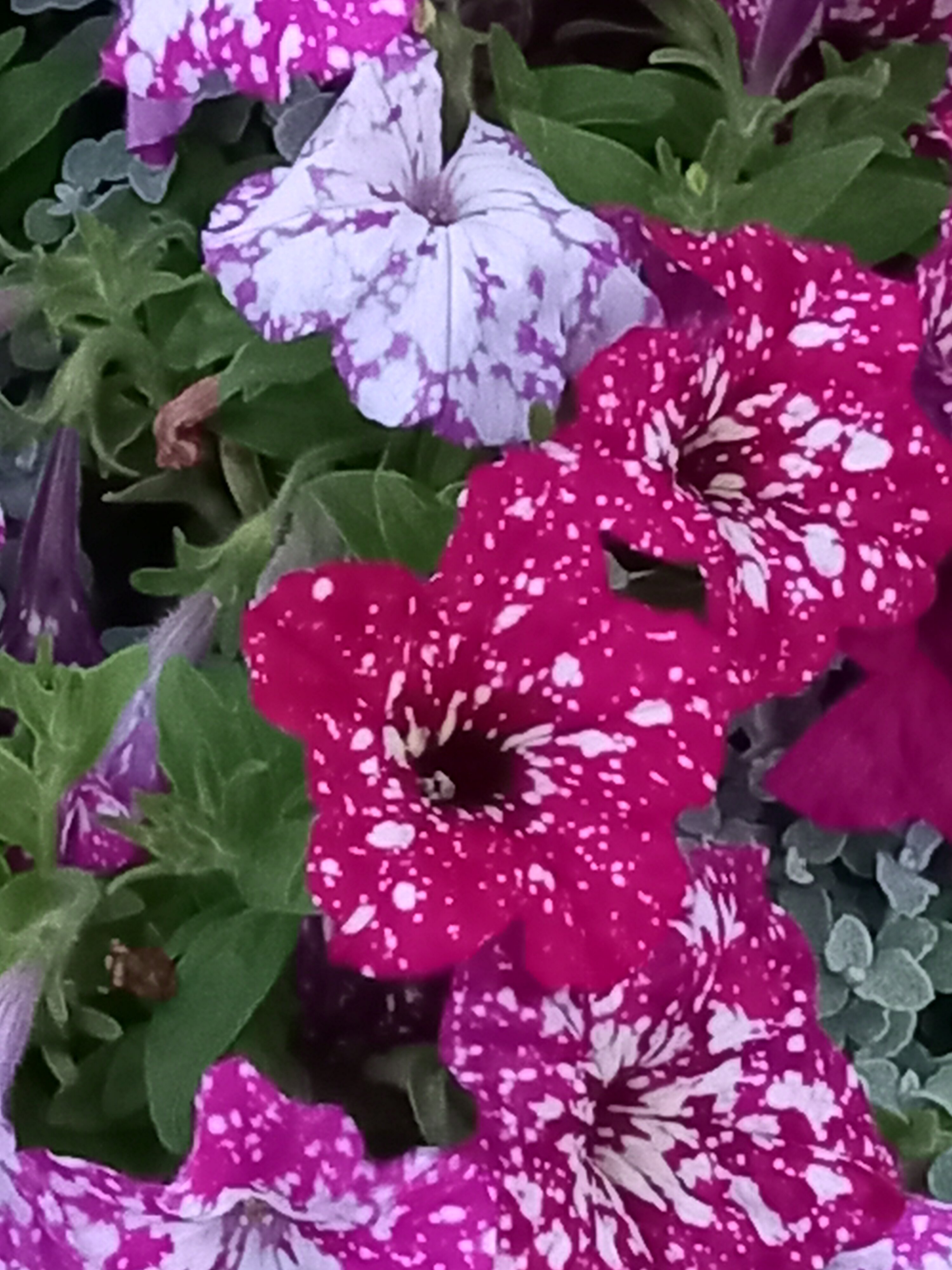 Фото Клинское подворье