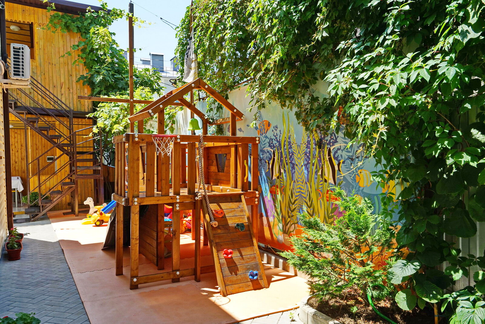 Фото Амико Club