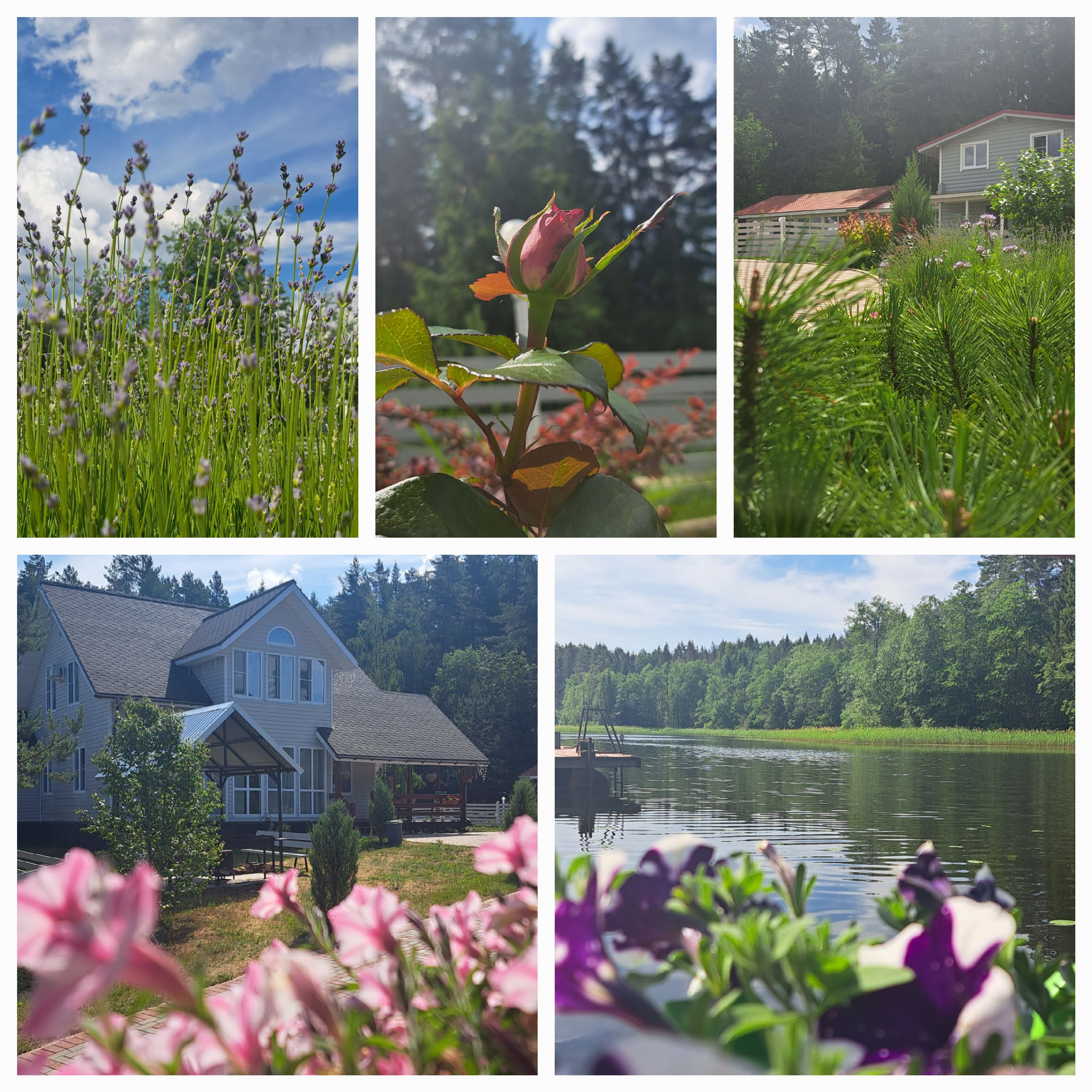 Фото Озерява