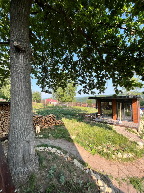 Фото Pavlov_glamp