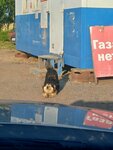 АГЗС (Penza Region, Nizhnelomovskiy rayon, Norovskiy selsovet), agns, agzs, agnks