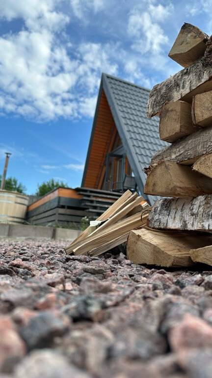 Фото Лиса в шалаше