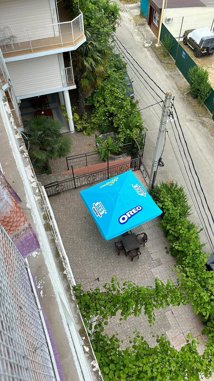 Фото Пальма