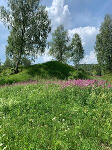 Навальни (Smolensk Region, Yartsevskiy munitsipalny okrug, Mikheykovskoye selskoye poseleniye), landmark, attraction