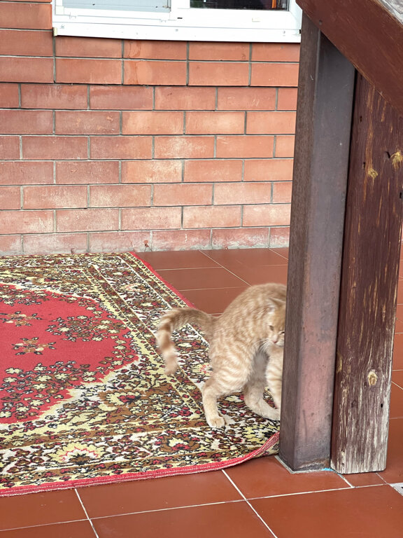 Фото Островок