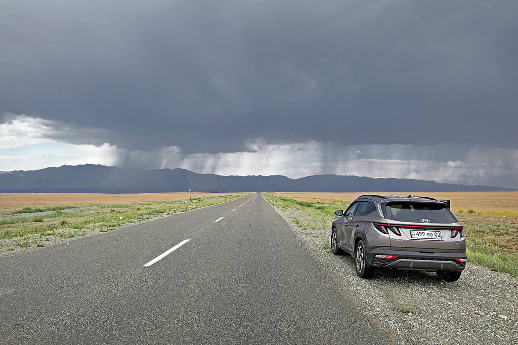 Car rental Rentacars, Almaty, photo