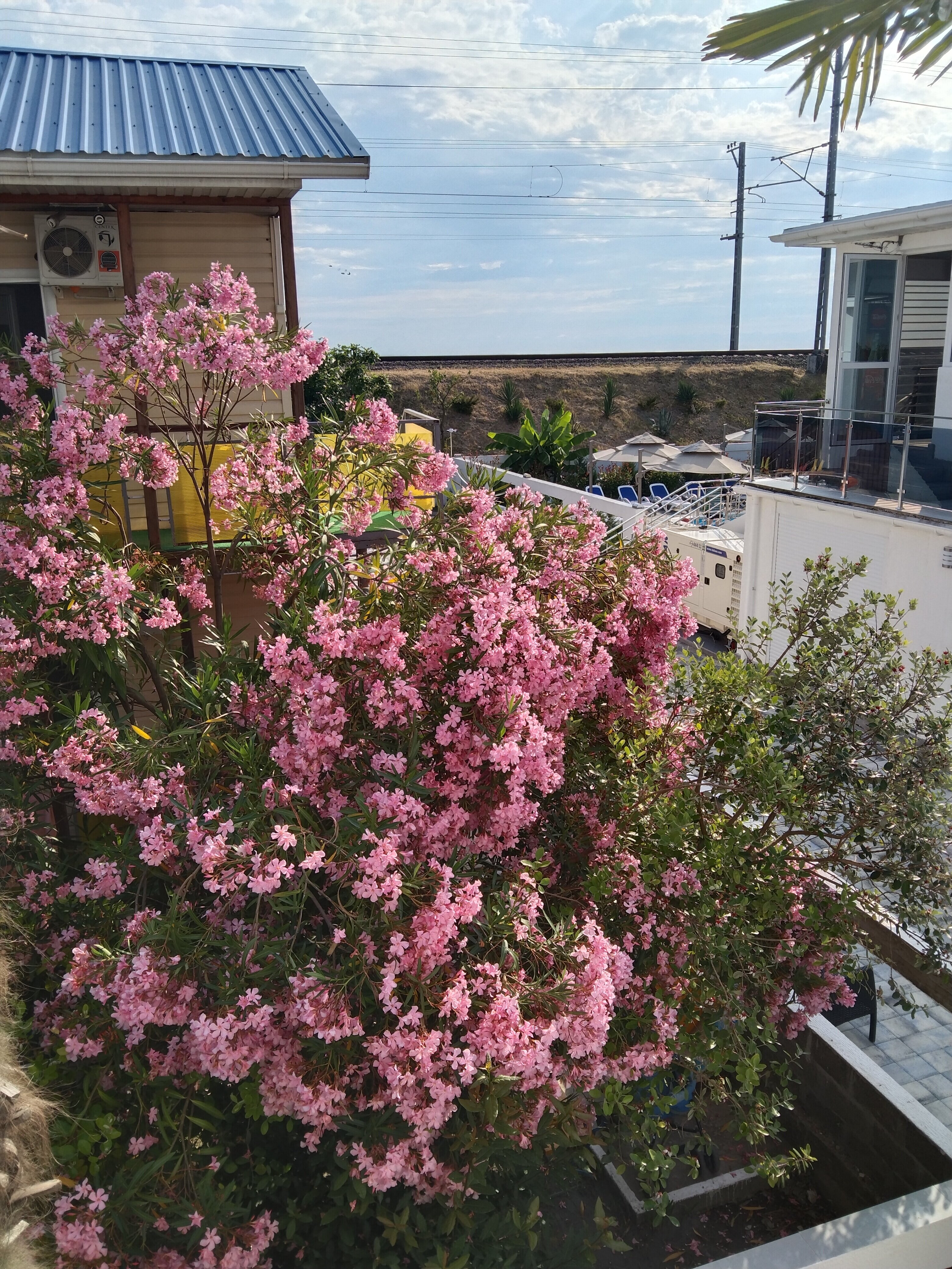 Фото Вилла Лирань