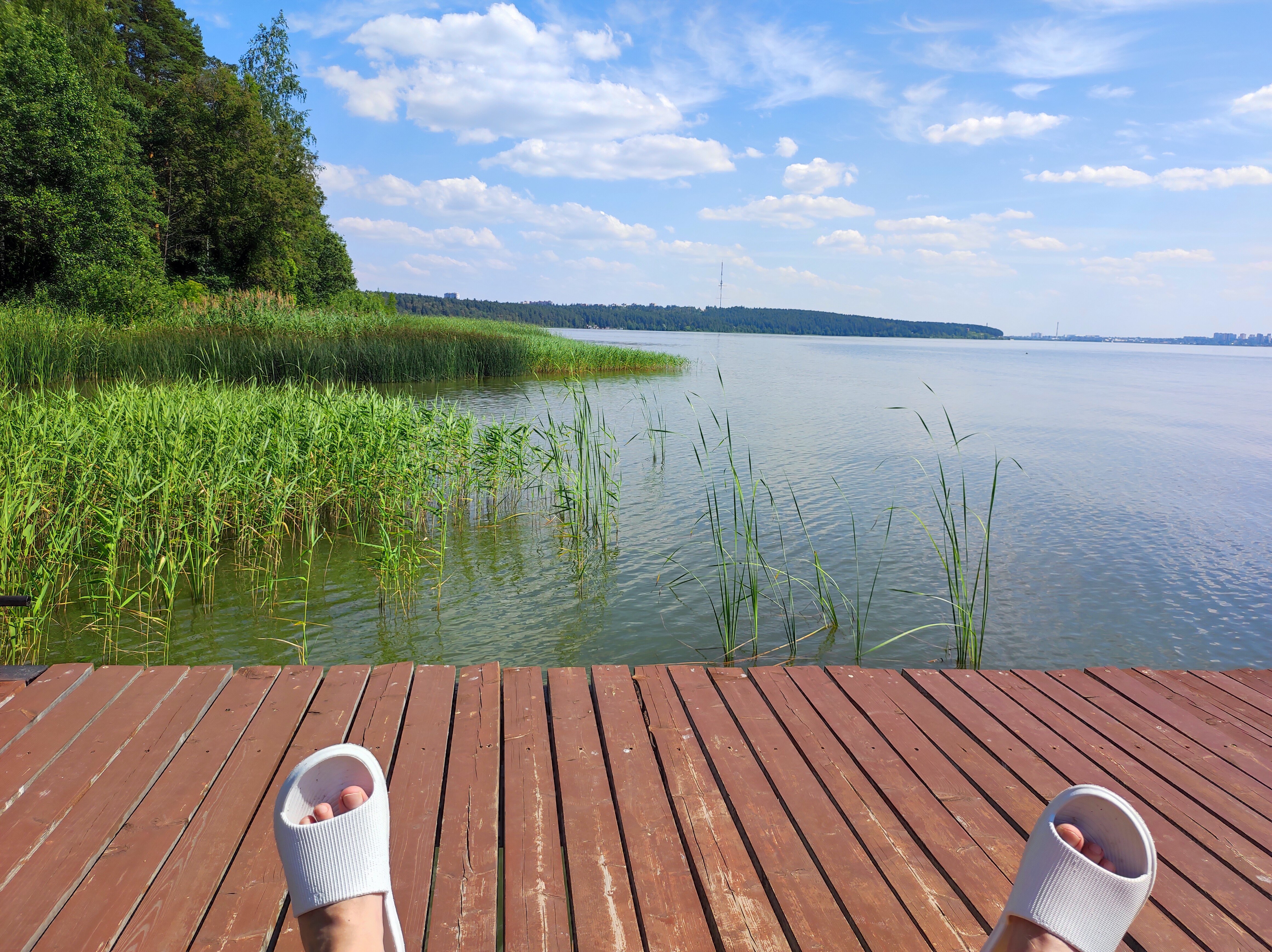 Фото Тихий Лес