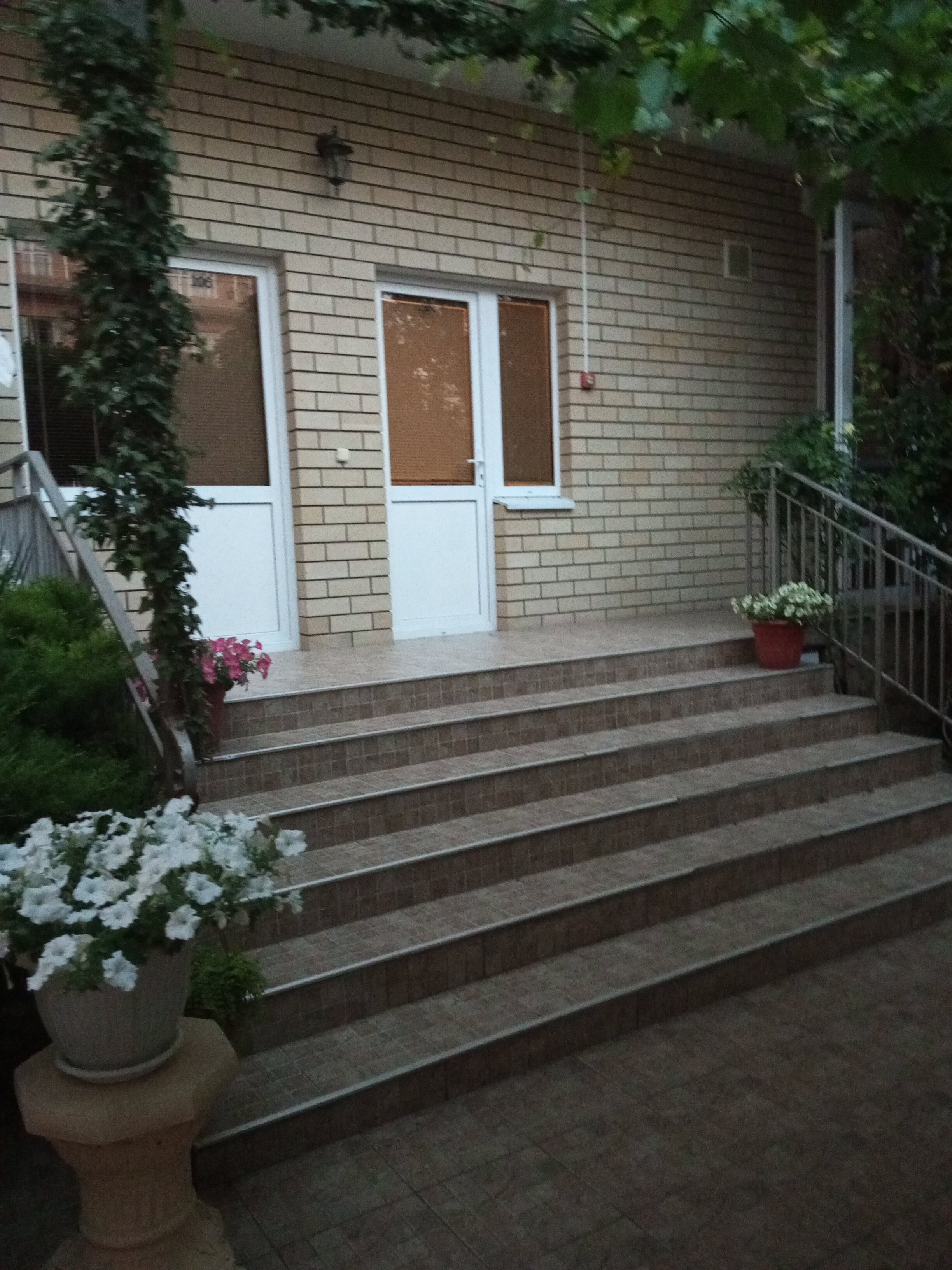 Фото Костас