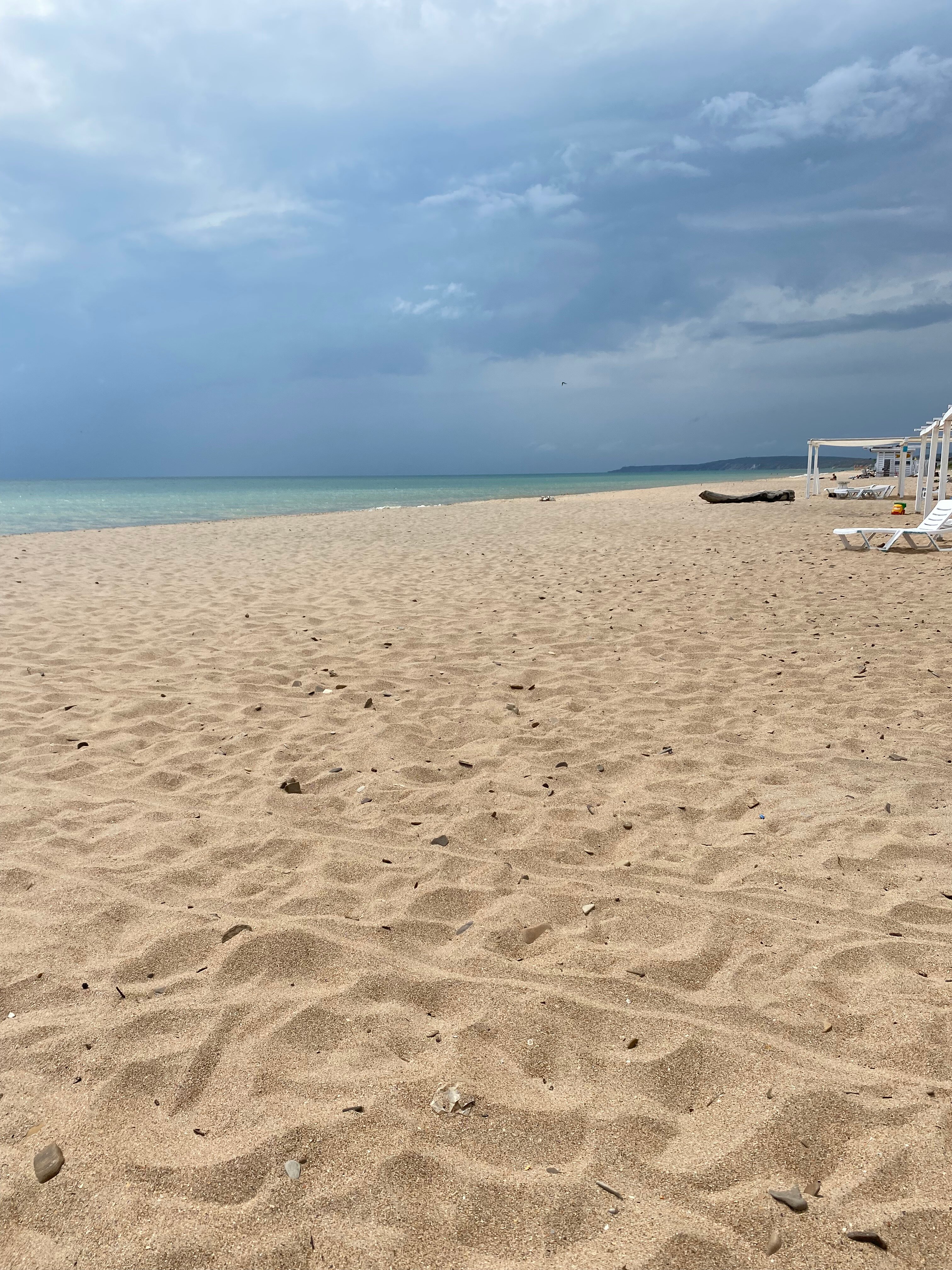 Фото Велбот