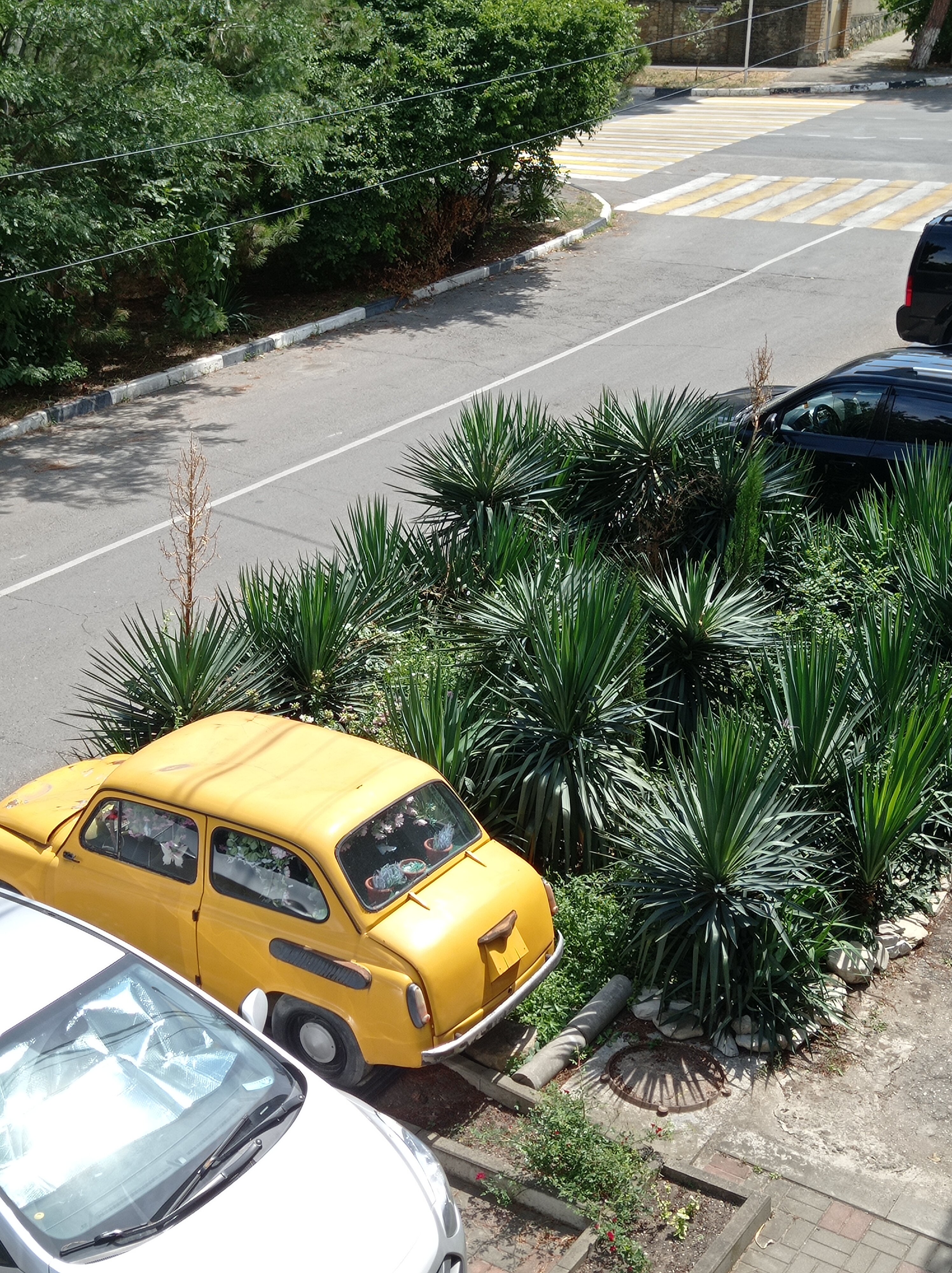 Фото Водолей