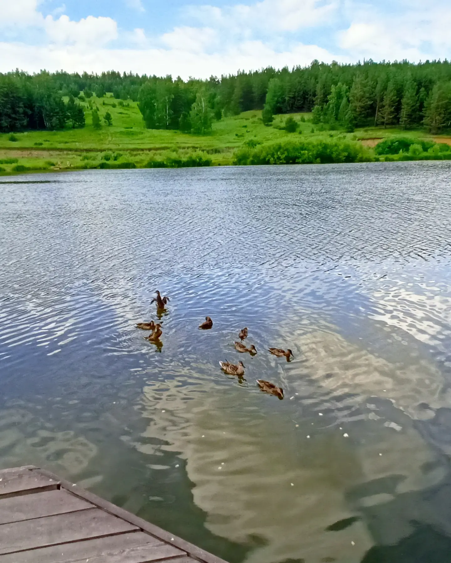 Фото Апартель