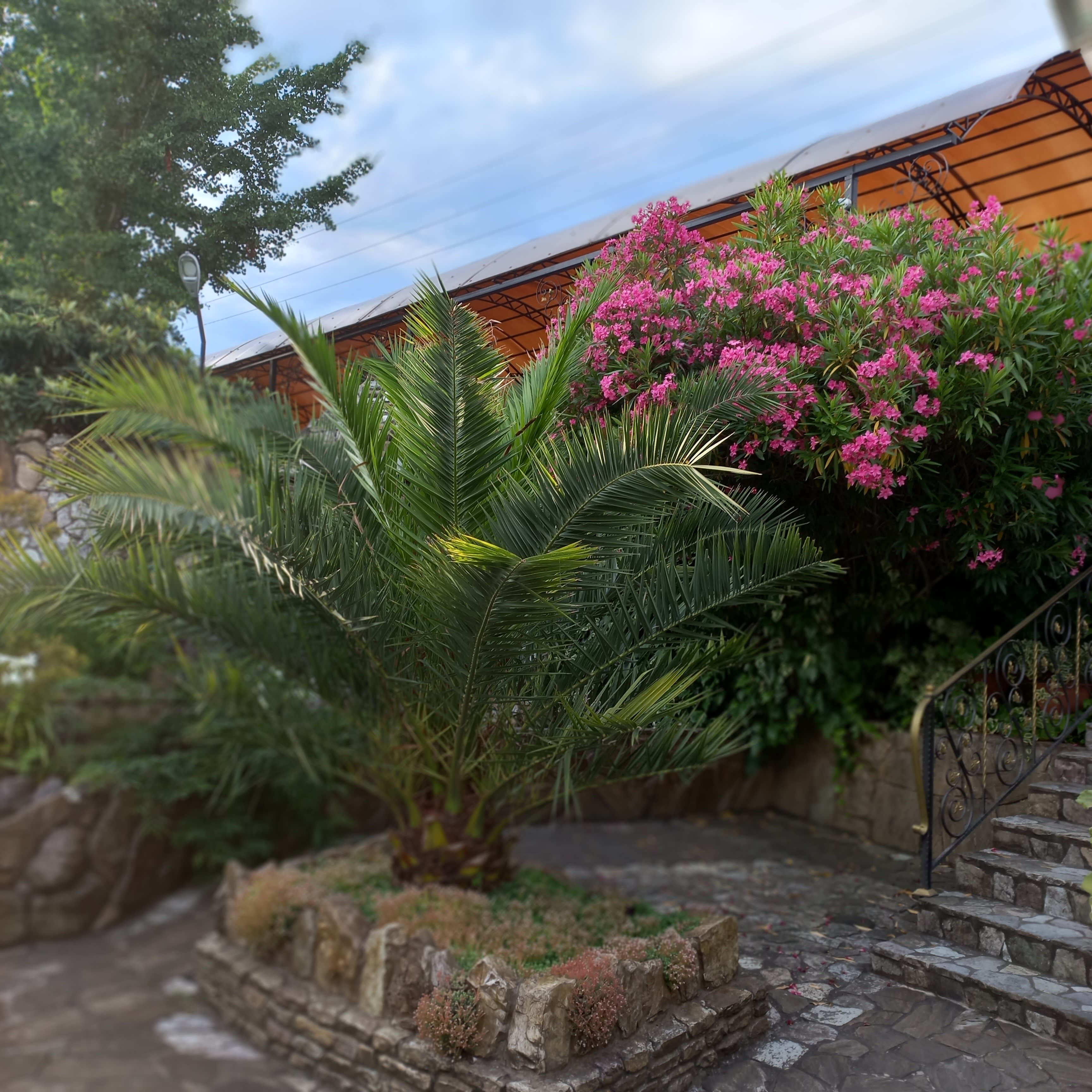 Фото Горный Эдем